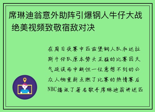 席琳迪翁意外助阵引爆钢人牛仔大战 绝美视频致敬宿敌对决